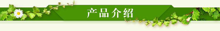 產(chǎn)品介紹