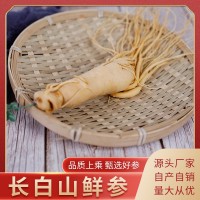 長白山白參特大新鮮人參毛重200克保鮮參直銷東北特產(chǎn)煲湯泡酒參