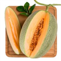 哈密瓜新鮮脆甜10斤裝水果當季整箱海南西州蜜瓜網(wǎng)紋甜瓜爆甜多汁