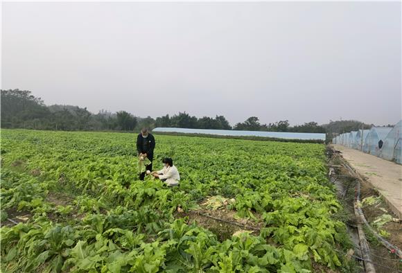 毓青山里的蔬菜基地。特約通訊員 李慧敏 攝