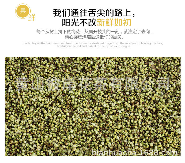 綠梅花_08.jpg