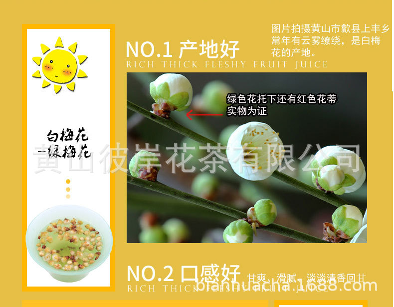 綠梅花_03.jpg