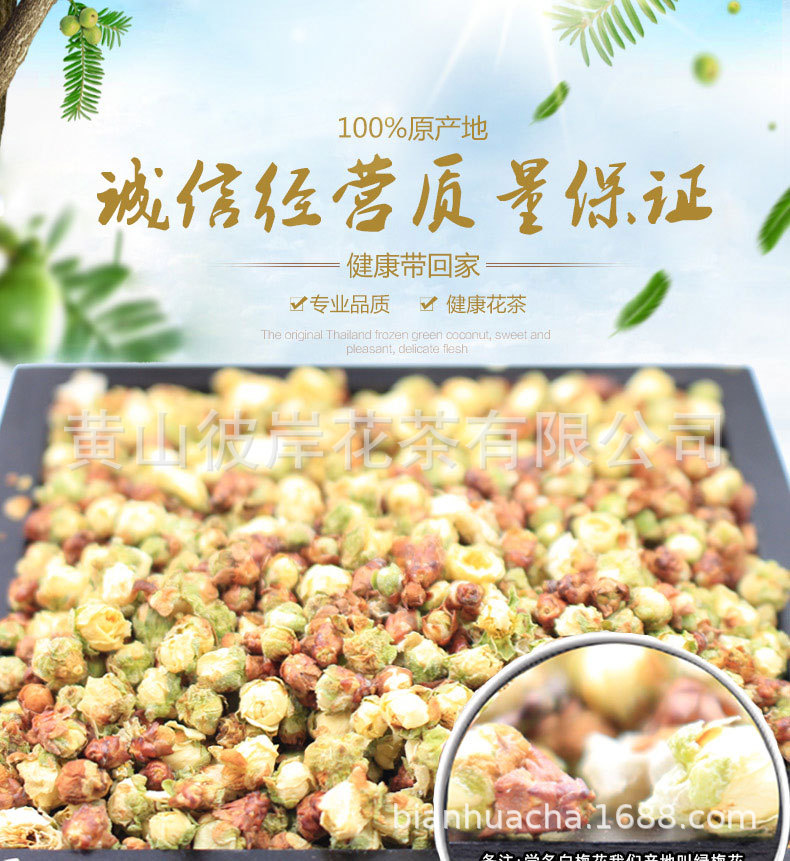 綠梅花_01.jpg