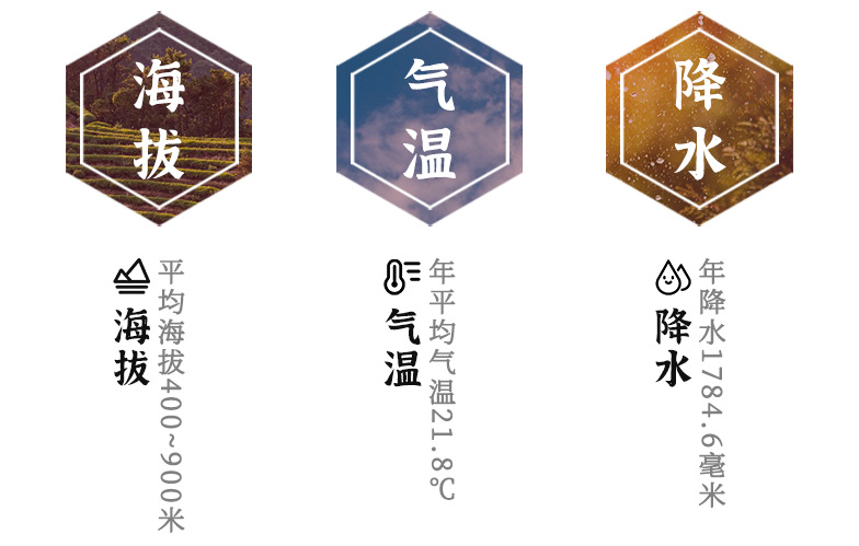 司前中大果皮二紅皮_03.png