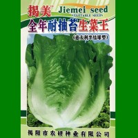 揭美10克意大利生菜種子 生菜籽 農(nóng)業(yè)大田種植 陽臺園藝盆栽