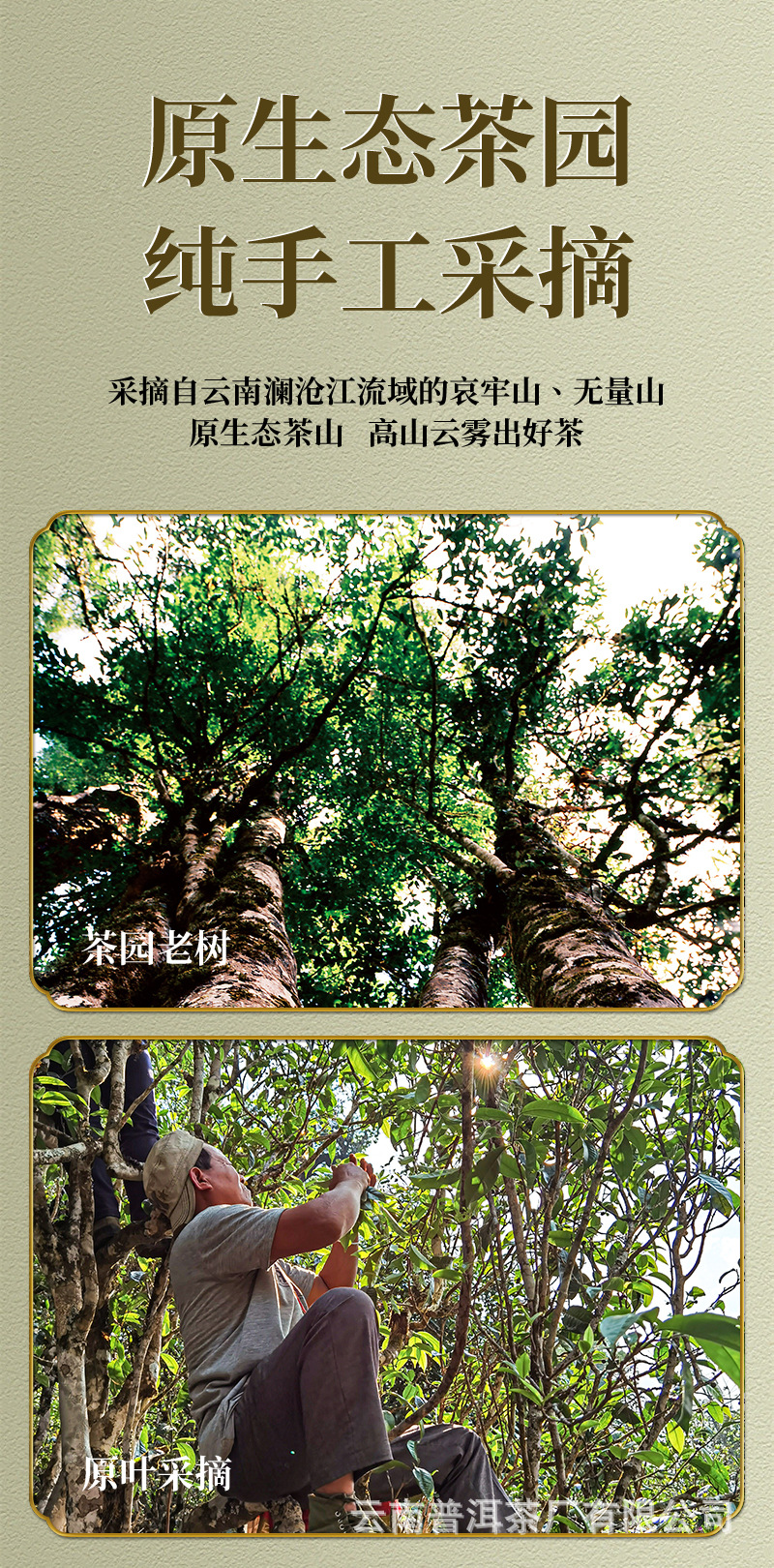 1688廠家2_10.jpg