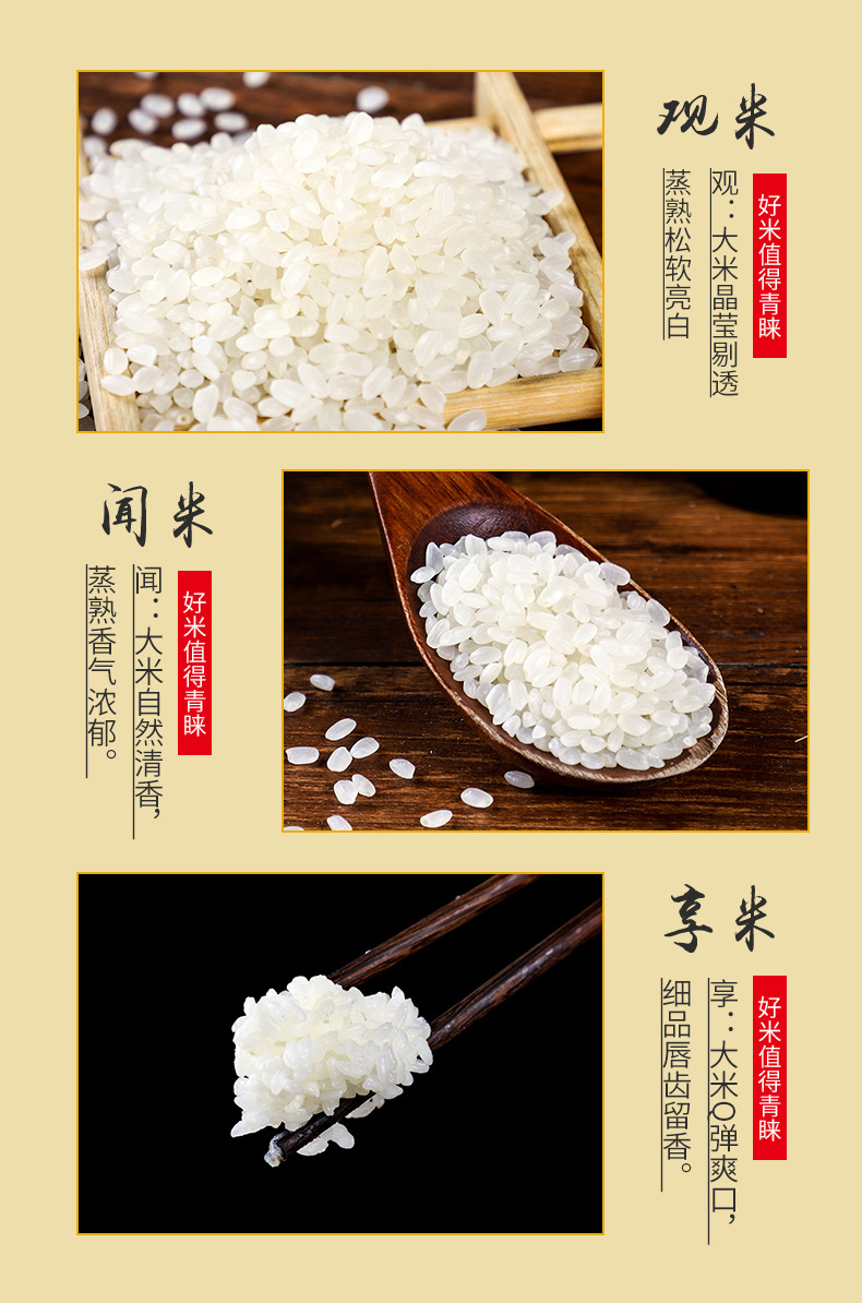 _沈陽(yáng)市遼中區(qū)鴻騰雜糧種植專-所屬行業(yè)-業(yè)合作社__07