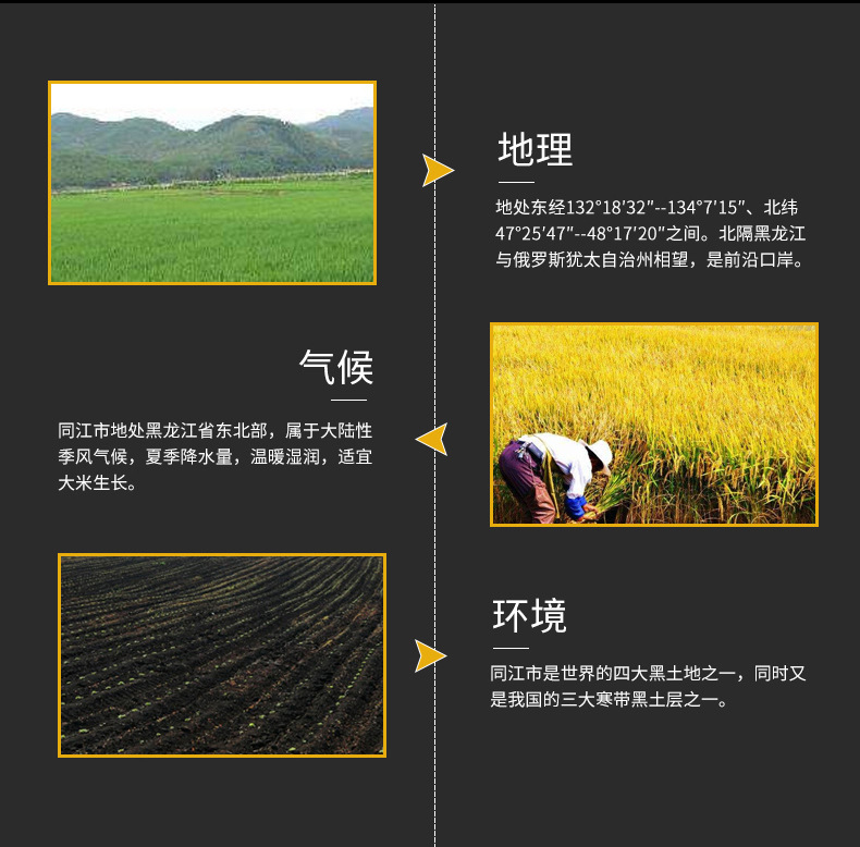_沈陽(yáng)市遼中區(qū)鴻騰雜糧種植專-所屬行業(yè)-業(yè)合作社__06
