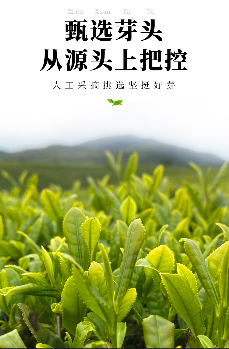 福潤(rùn)茶葉-2016老壽眉散茶_04