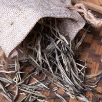 批發(fā)綠茶2022年早春茶 濃香型一芽一葉綠茶香針 散茶500克耐泡