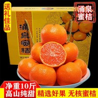 臨海涌泉蜜桔早熟宮川當(dāng)季浙江無(wú)核桔子黃巖蜜橘新鮮水果砂糖桔