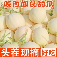 陜西閻良甜瓜水果新鮮當季整箱包郵10斤一箱蜜瓜香瓜哈甜瓜密瓜