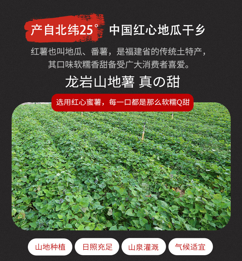 地瓜干詳情007