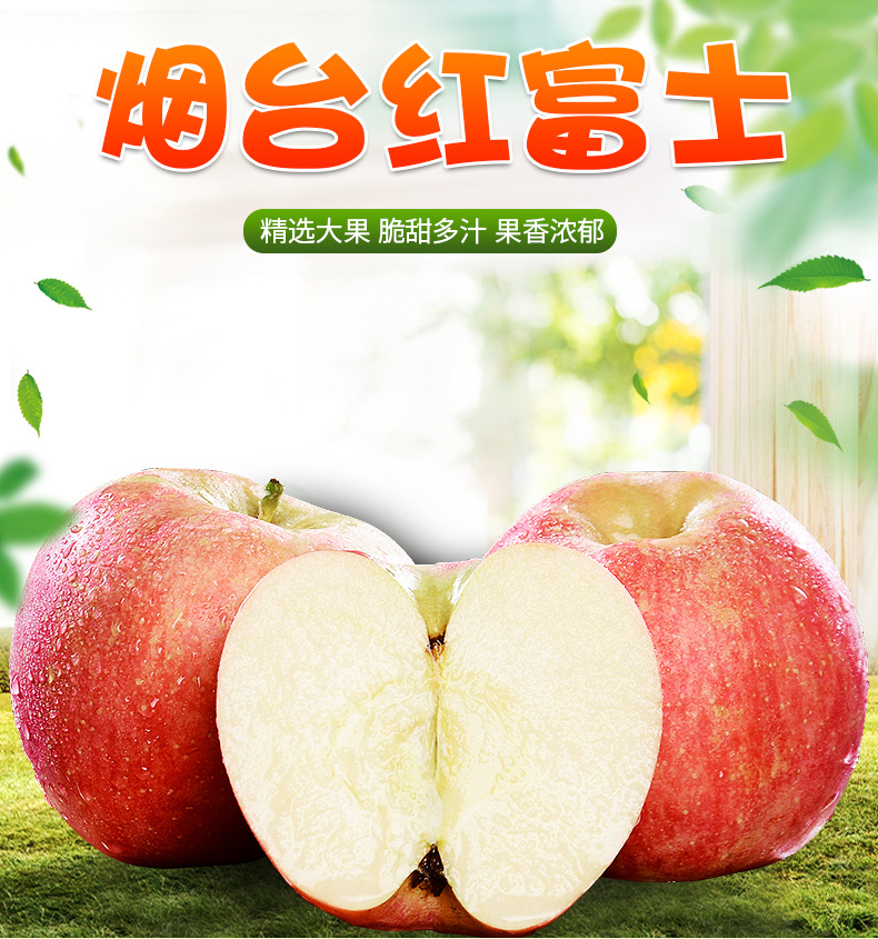 煙臺(tái)紅富士_01.jpg
