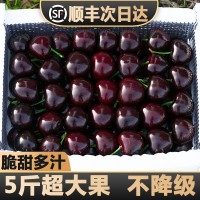 現(xiàn)貨櫻桃新鮮水果包郵5斤裝車?yán)遄用涝绱髾烟疑綎|當(dāng)季整箱3j孕婦4