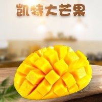 四川攀枝花凱特芒果 代發(fā)3/9一級大果斤新鮮應(yīng)季甜糯大臉芒非貴妃