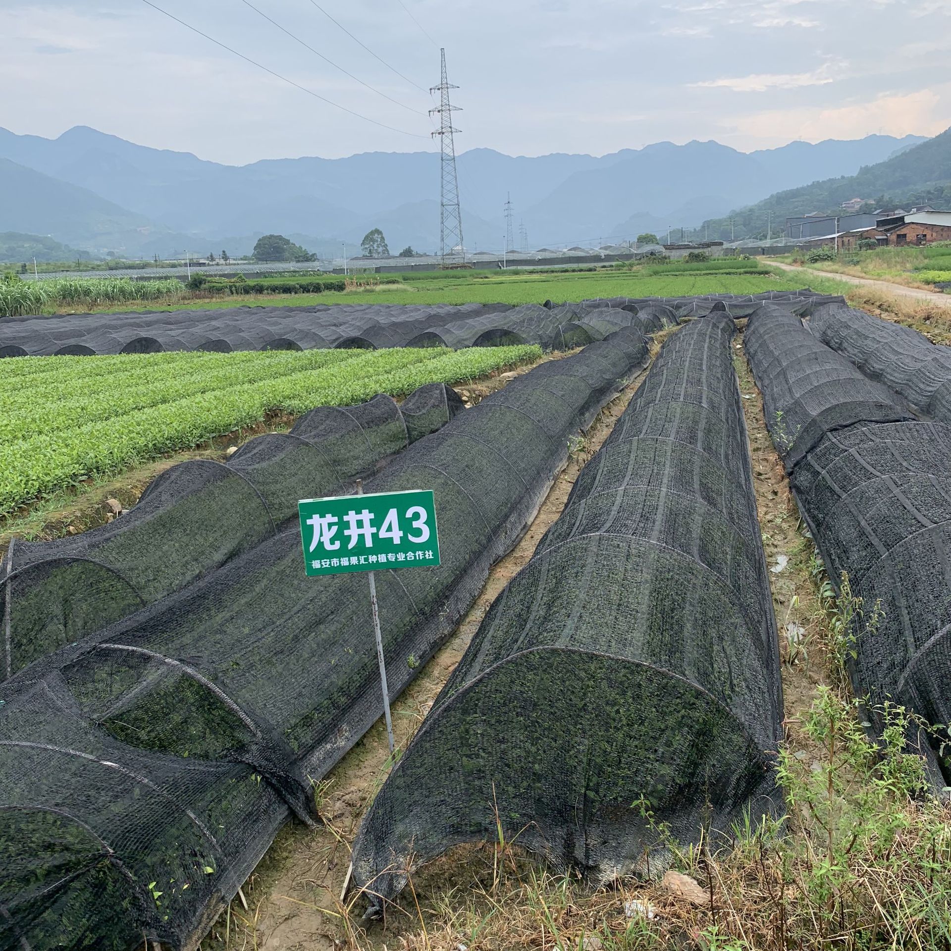 微信圖片_20190826223025