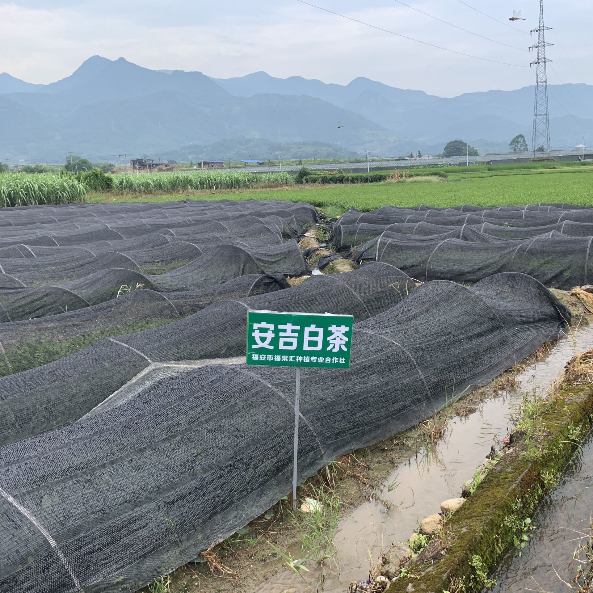 微信圖片_20190826223016