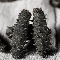 大連淡干海參批發(fā)源頭工廠50g 遼刺參大連海參干貨