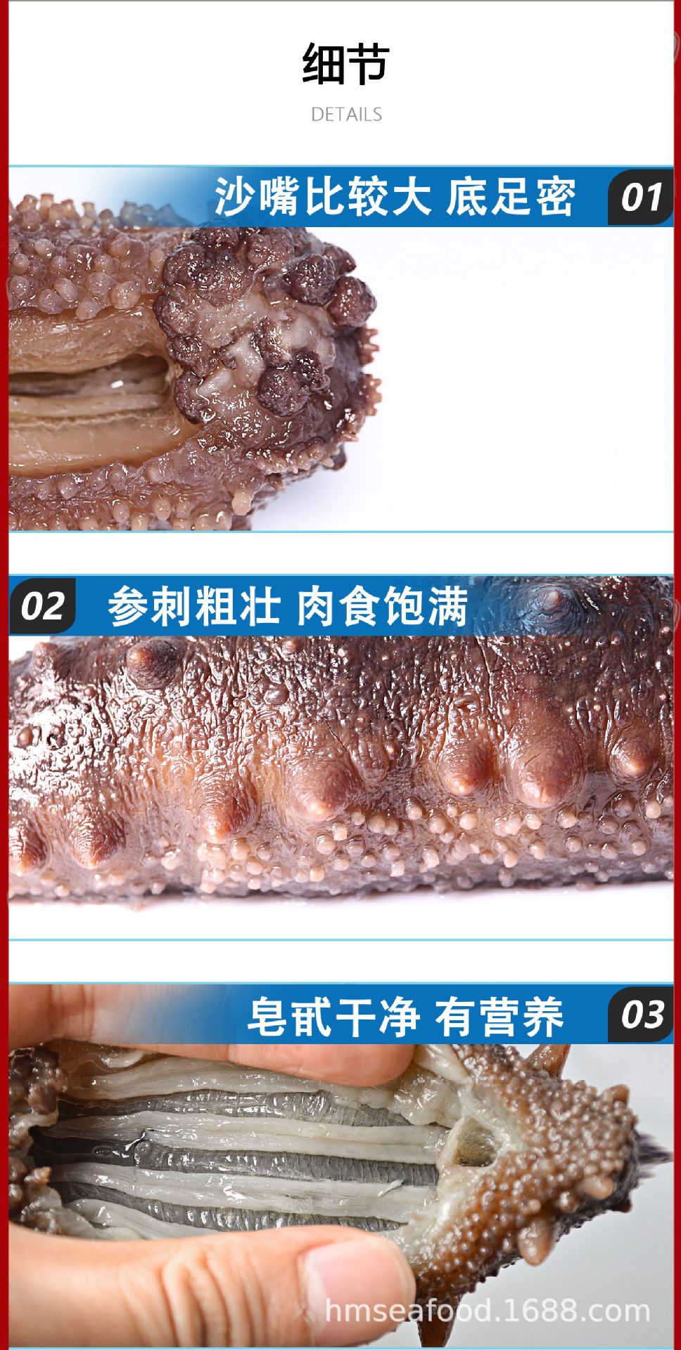 新版海參22_04.jpg