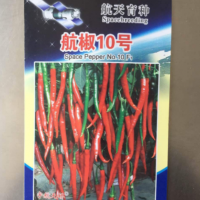 廠家批發(fā)蔬菜種子 航天種子 太空辣椒航椒10號20粒家庭裝