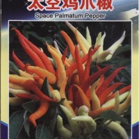 廠家批發(fā) 太空雞爪椒辣椒種子 20粒/袋