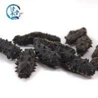 工廠直供 淡干海參500g 津參堂干制水產(chǎn)品海參干貨 海鮮干貨