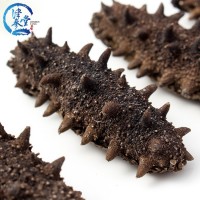 批發(fā)海參干貨 津參堂大連海產(chǎn)品純淡干海參7X級500g 遼參刺參海參
