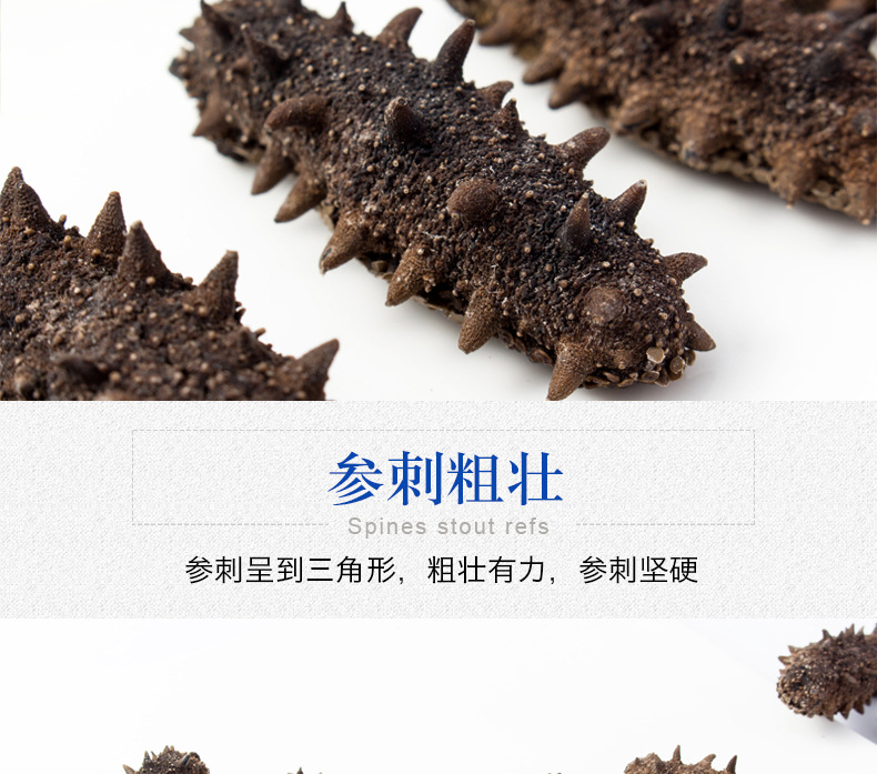 遼參刺參7X級(jí)-500g_09