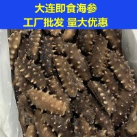 大連海參即食底播遼參刺參單個(gè)裝高壓熟發(fā)工廠批發(fā)非干貨