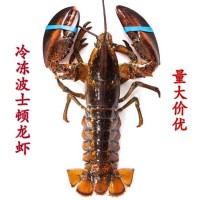 加拿大波士頓餐飲冰鮮敖龍蝦速凍龍蝦海鮮波龍凍蝦500-750g只