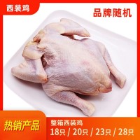 西裝雞商用20只炸雞半成品脆皮童子雞單只烤雞全雞冷凍西裝雞