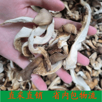 新貨 平菇 鮑魚菇 烤平菇 秀珍菇鳳尾菇 散裝批發(fā)煲湯菌粉500g
