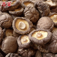 湖北干香菇山貨 金錢菇菌類干貨 香菇干 基地供應(yīng)500g