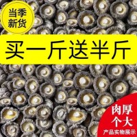 香菇干批發(fā)干貨金錢小香菇無根肉厚花菇蘑菇批發(fā)跨境電商工廠包郵