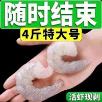 新鮮大蝦仁鮮活凍蝦仁青蝦仁白鮮蝦仁特級(jí)大冷凍海鮮商用速凍包郵