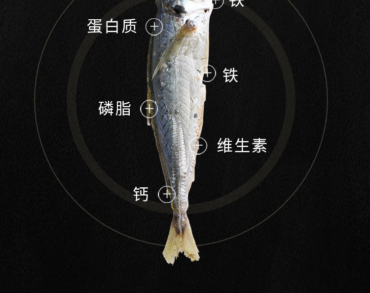 巴浪魚魚干詳情頁(yè)_08.jpg