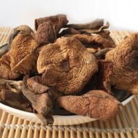 批發(fā)東北榛蘑 小雞燉蘑菇 鮮美可口來自大自然的珍饈美味500克/份