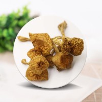 大量批發(fā)東北特產長白山食用菌干蘑菇滑子蘑