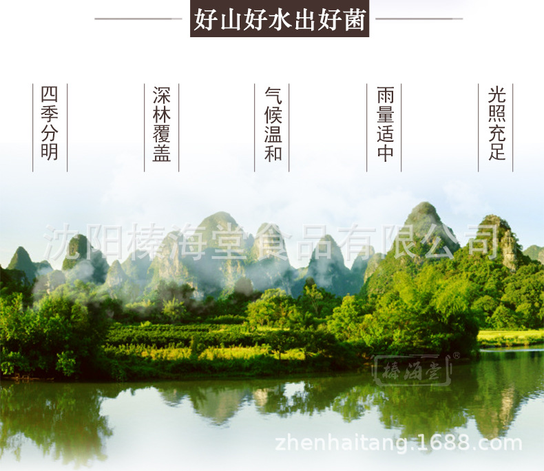 猴頭菇詳情頁(yè)._02.jpg
