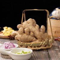 廠家批發(fā) 來鳳風(fēng)頭姜生姜食品黃姜大姜新鮮嫩姜烹飪原料 基地種植