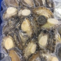 冷凍鮑魚肉批發(fā)速凍鮑魚肉去殼去內(nèi)臟30頭鮑魚肉大約25-35個
