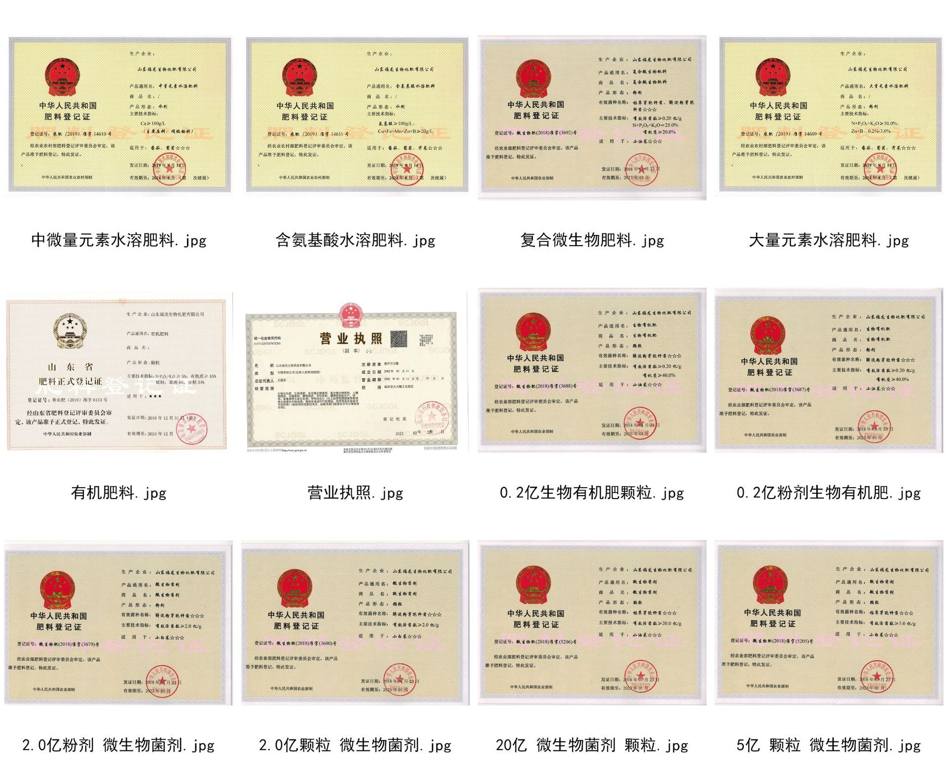 證件