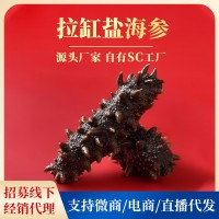 源頭工廠現(xiàn)貨批發(fā)大連海參干貨批發(fā)拉缸鹽海參頂火高刺海參批發(fā)