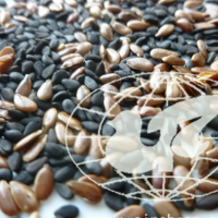 黃金亞麻籽non-genetically modified食品linseed@