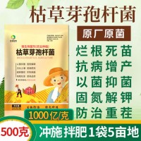 500克/包常規(guī)型 農(nóng)業(yè)肥種植改良土壤促增長(zhǎng)種植菌種 枯草芽孢桿菌