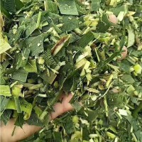 養(yǎng)殖用玉米秸稈青儲(chǔ)飼料 粉碎玉米秸稈牛羊馬鵝飼料草料