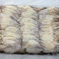 燒烤魷魚干 規(guī)格A4 一件20斤