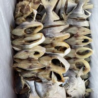 金昌魚 魚干 海味水產(chǎn)干貨批發(fā) 咸魚