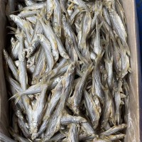 海鮮水產(chǎn)干貨 魚干 咸魚批發(fā) 翹嘴魚